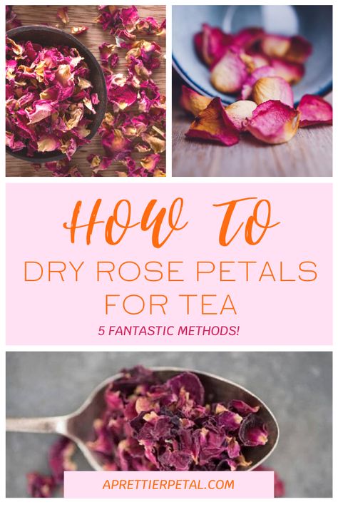 Dry Rose Petals Uses, Preserving Rose Petals, How To Make Rose Tea, Rose Petal Tea, Drying Rose Petals, Rose Tea Recipe, How To Dry Rose Petals, Rose Petal Recipes, Rose Petal Uses