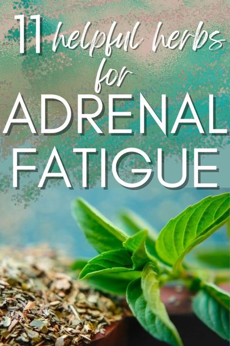 11 Best Herbs For Adrenal Fatigue Relief & Recovery - A Radiantly Healthy Life Natural Adrenal Support, Adrenal Fatigue Breakfast, Herbs For Adrenal Fatigue, Adrenal Foods, Adrenal Fatigue Supplements, Symptoms Of Adrenal Fatigue, Adrenal Exhaustion, Adrenal Fatigue Symptoms, Fatigue Symptoms