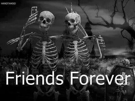 Skeleton Selfie. Friends Forever Pictures, Horror Vintage, Dp For Whatsapp, Happy Friendship, Happy Friendship Day, After Life, Best Friends Forever, Skull Art, Graveyard