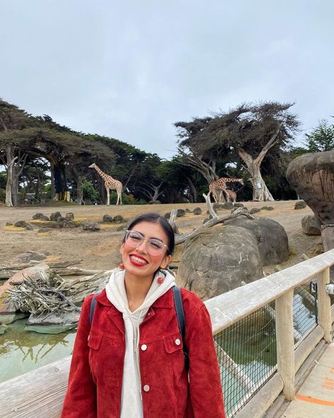 Everything you need to know for visiting San Francisco Zoo and Gardens San Francisco Attractions, San Francisco Zoo, Cali Trip, Visit San Francisco, Monterey Bay Aquarium, Monterey Bay, Pacific Coast, 16th Birthday, Party Birthday