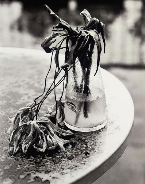 Araki Nobuyoshi Photography, Wilted Flowers, Nobuyoshi Araki, Dead Flowers, Dead Alive, A Level Photography, Growth And Decay, Japanese Photography, Flowers In Vase