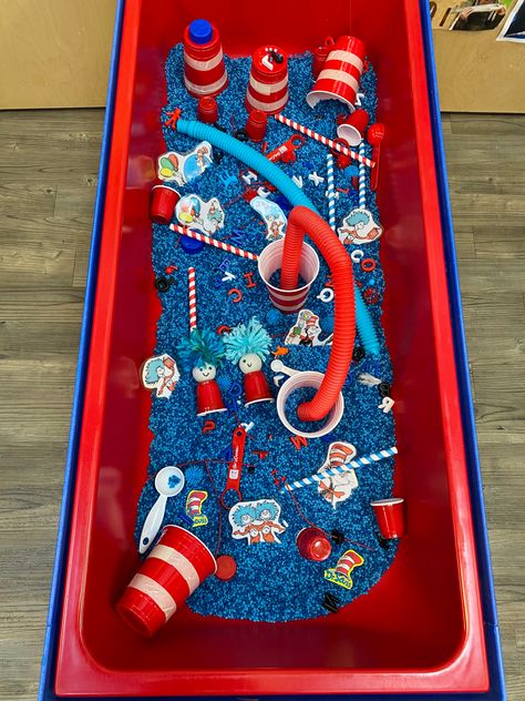 Cat Sensory Table, Science Themed Sensory Bin, Dr Seuss Sensory For Toddlers, Dr Sues Activities, Sensory Table Kindergarten, Cat In The Hat Activities For Toddlers, Theme Sensory Bin Ideas, Sensory Table For Preschool, Cat And The Hat Activities