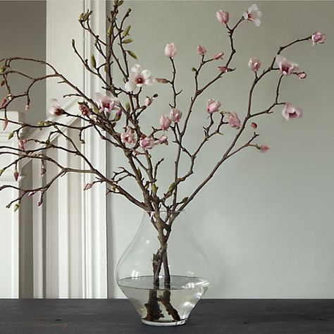 Terrain - Living Tulip Magnolia Branches Tulip Magnolia Branches, Tulip Magnolia, Silent Disco, Magnolia Branch, Magnolia Trees, 100th Birthday, Deco Floral, Disco Party, Arte Floral