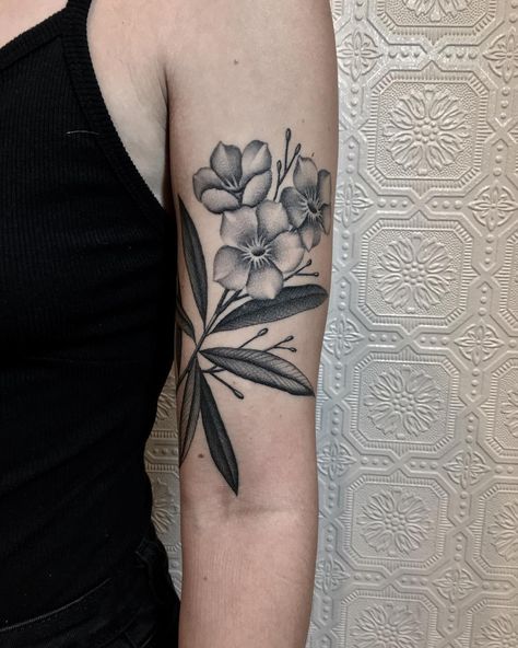 Oleander Tattoo, Toxic Flowers, Bush Tattoo, New Orleans Tattoo, White Oleander, Tattoo For Son, White Tattoo, Symbolic Tattoos, Tattoo Inspo