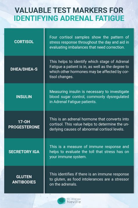 Adrenal Fatigue Testing What Is Adrenal Fatigue, Adrenal Fatigue Diet, Adrenal Fatigue Symptoms, Low Estrogen Symptoms, Too Much Estrogen, Adrenal Health, Low Estrogen, Boiled Egg Diet, Estrogen Dominance