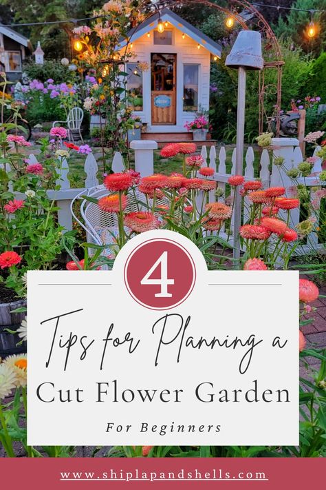 Are you thinking about starting a cut flower garden and have no idea where to start? Shiplap and Shells shares the process of planning a cut flower garden each season.