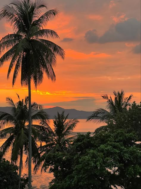 Sunset Widget, Sunset Tropical, Scenery Pictures, Sky Pictures, Pretty Landscapes, Beach Wallpaper, Sunset Pictures, Summer Pictures, City Aesthetic