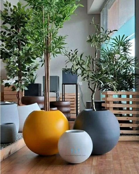 The Globe Shaped FRP Planter With Its Handcrafted Matte Finished Body And Clean Lines Adds A Unique And Minimalistic Touch To Any Spaces. Showcase Your Favorite Plants In Style And Bring A Touch Of Natural Charm To Your Interior. Using Fiberglass Planters In Your Plantscaping Designs Is A Great Way To Enhance The Beauty Of Any Indoor Or Outdoor Landscape. Their Durable, Commercial Grade Construction And Vast Color Choices Make Fiberglass Plant Containers An Interiorscape And Exterior Landscap... Frp Planters, Plant Containers, Fiberglass Planters, Outdoor Landscape, Outdoor Landscaping, Container Plants, Color Choices, Clean Lines, The Globe