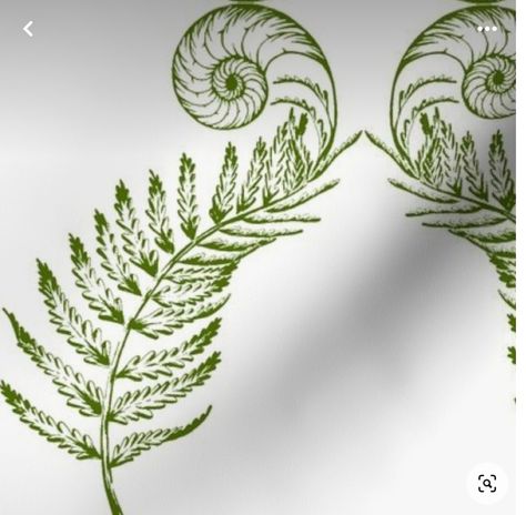 Fibonacci Drawing, Fern Unfurling, Fern Spiral, Unfurling Fern, Fern Tattoo, Plant Tattoo, Botanical Tattoo, Ink Illustration, Green Nature