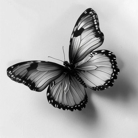 Artistic 3d Butterfly Tattoo Sketches 3d Butterfly Tattoo Stencil, Baterflay Tattoo, Butterfly 3d Tattoo, Butterfly Reference, Mariposa Tattoo, Borboleta Tattoo, Black Butterfly Tattoo, Butterfly Tattoo Design, 3d Butterfly Tattoo