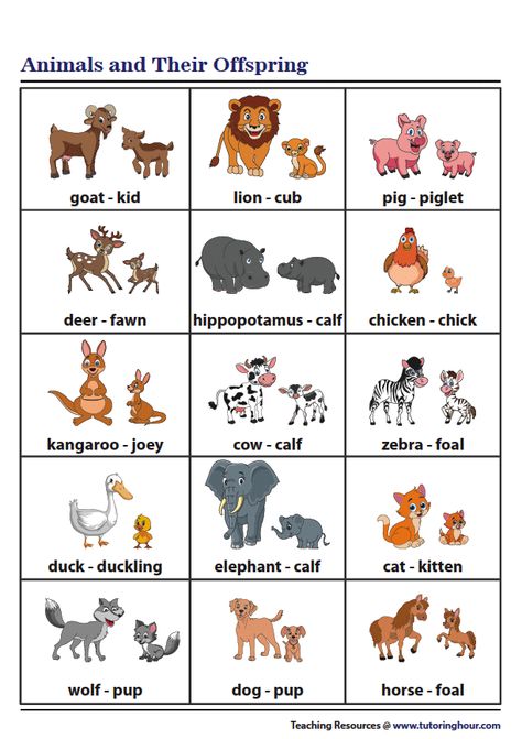 Animals and Their Offspring | Chart Animal Offspring Activities, Animal Chart For Preschool, Animal Chart For Kids, Animals And Their Babies Free Printable, Animals And Their Babies Worksheet, Animals Pictures For Kids, Animals With Their Babies, Animals And Their Young Ones, Young Ones Of Animals