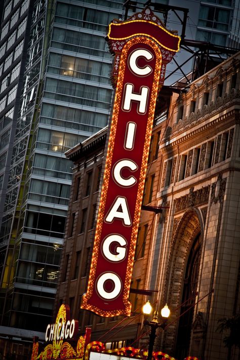 Chicago Theatre Theatre Marquee, Moline Illinois, Chicago Signs, Chicago Theatre, Sports Romance Books, Bloomington Illinois, Theatre Sign, Sign Tattoo, Chi Town