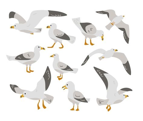 Seagull Character Design, Cartoon Seagull, Seagull Illustration, Bird Character, Bird Cartoon, Beach Scene Painting, Illustration Bird, Cartoon Bird, Beach Illustration