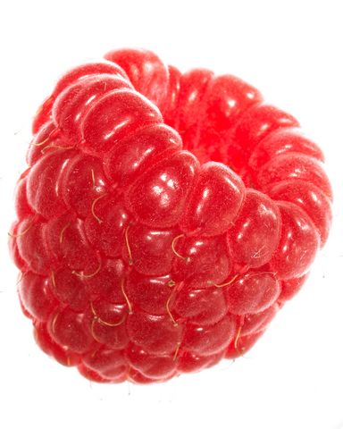 Raspberry Images, White Backround, Fruits Photos, Rainbow Fruit, Raspberry Fruit, Tea Brands, Red Fruit, Print Collage, Food Drawing