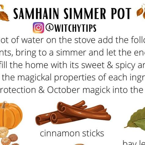 Tips for Witches Everywhere! ✨ on Instagram: "Fill your home with the magickal aromas of Samhain using these signature herbs & spices of the season to welcome their prosperous and protection properties. 🍂🎃 PS: use charged magickal waters (such as full moon water) to simmer in the pot and amplify the energies in the home! Measure with your heart and add more items when needed! 🫚" Samhain Simmer Pot, Full Moon Water, Simmer Pots, Simmer Pot Recipes, Simmer Pot, Moon Water, Herbs Spices, Witchy Stuff, Samhain