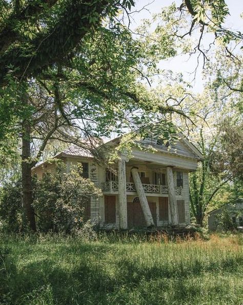 Abandoned Mansions In The Woods, Old Abandoned Mansions, Beautiful Traditional Homes, Abandoned Places Creepy Dark, Rundown House Interior, Old Abandoned Houses Interiors, Abandoned Hospital Creepy Mental Asylum, Abandoned Beach House, Nature Reclaiming Abandoned Places