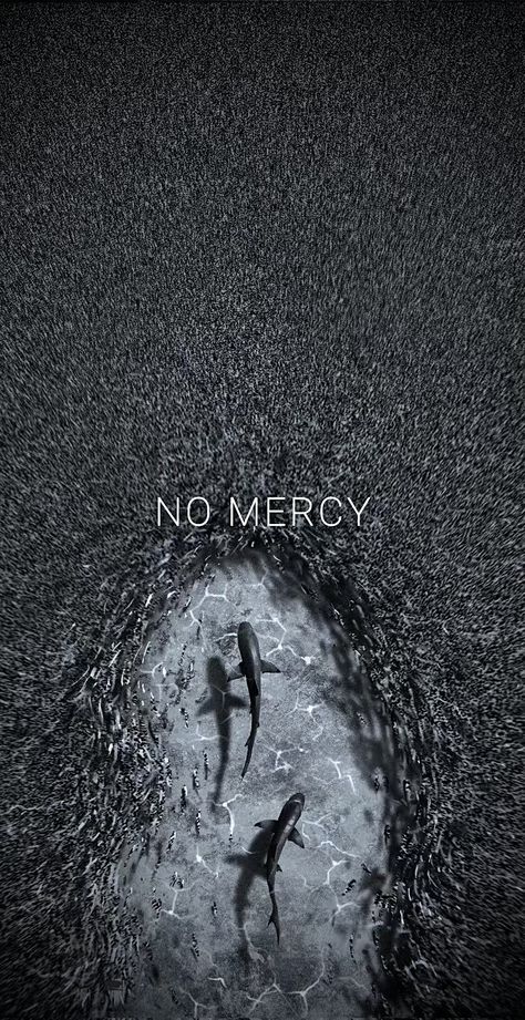 No Mercy, Swimming, On Twitter, Twitter