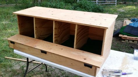 Sloped Nesting Boxes, Chicken Nest Boxes Diy, Roll Out Nesting Boxes For Chickens, Roll Out Chicken Nesting Boxes Diy, Chicken Brooding Box Ideas, Egg Roll Out Nesting Box Diy, Diy Rollaway Nesting Boxes, Chicken Laying Boxes Ideas Diy, Roll Out Nesting Boxes Diy