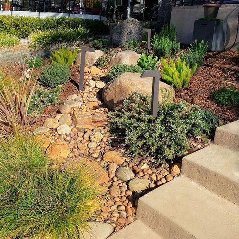 10 Dry Creek Bed Landscaping Ideas Creek Bed Landscaping, Boulder Landscape, Bed Landscaping Ideas, Dry Stream, Dog Friendly Garden, Gravel Landscaping, Dry Creek Bed, Sloped Yard, Landscaping With Boulders