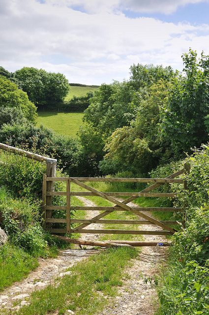 This reminds me of my grandparents lane that lead to the house. I loved hopping out to open the gate for Papa! Country Roads Take Me Home, British Countryside, Dirt Road, Green Gables, English Countryside, Garden Gates, Farm Life, Country Life, 그림 그리기