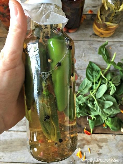 homemade Gourmet Hot Pepper Vinegar Hot Pepper Vinegar Recipes, Pepper Vinegar Recipes, Pepper Sauce Recipe Vinegar, Hot Pepper Vinegar, Pepper Vinegar, Hot Banana Peppers, Vinegar Recipes, Thai Peppers, Homemade Gourmet