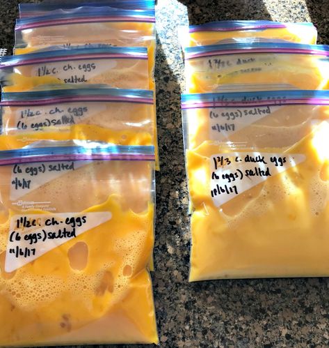 Freeze Rice, Dehydrating Eggs, Freezer Eggs, Preserve Eggs, Freezing Food Guide, Freeze Eggs, Frozen Eggs, Freezing Veggies, Preserving Eggs