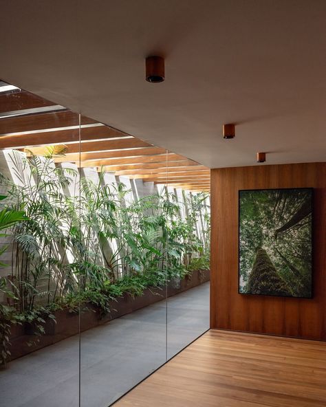 Brazilian Modernism Architecture, Brazilian Contemporary Architecture, Modern Brazilian Interior Design, Modern Tropical House Interior, Brazilian Interior Design, Atrium Architecture, Tropical Houses Interior, Brazilian Home, Brazilian Modernism