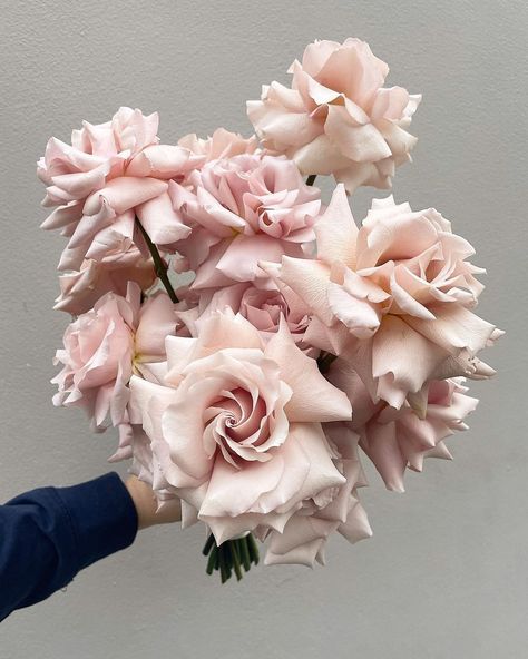 Quicksand Rose, French Roses, Flower Magic, Blush Bouquet, Pink Rose Bouquet, Portugal Wedding, Roses Bouquet, White Lily, Pink Wedding Flowers