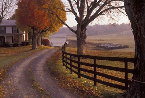 These 10 Mind-Blowing Sceneries Totally Define West Virginia Rural Living Aesthetic, West Virginia Aesthetic, Virginia Aesthetic, Rural Aesthetic, West Tennessee, Rural Living, Abandoned Castles, Country Roads Take Me Home, Beautiful Scenes