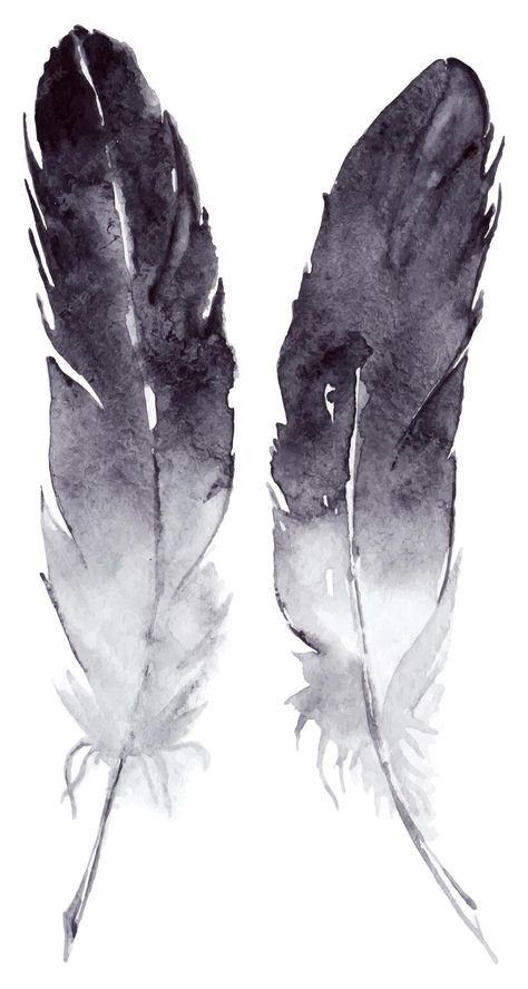 Premium Vector | Watercolor black and white feather pair vector set isolated Feather Art Drawing, White Feather Tattoos, Feather Sketch, Gb Logo, Feather Drawing, High School Art Projects, Feather Vector, Watercolor Feather, Tinta China