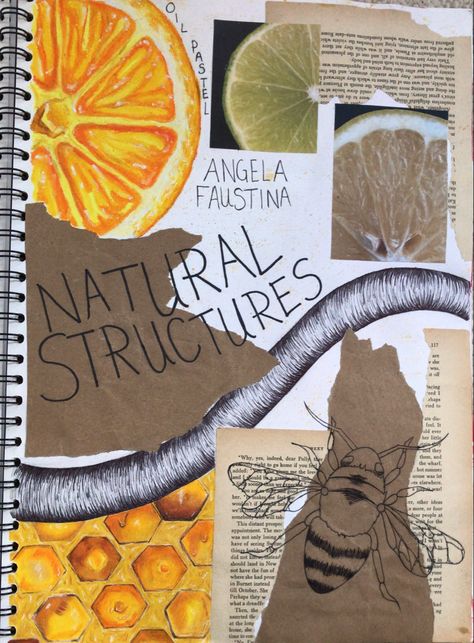 Structure Title Page Art, Gcse Art Structures, Structure Art Gcse, Natural Forms Gcse Mind Map, Natural Forms Gcse Sketchbooks, Structures Art Gcse, Natural World Art Gcse, Igcse Art, Natural Forms Mindmap Gcse