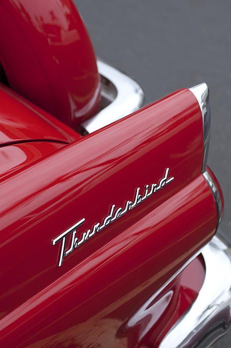 Post anything (from anywhere!), customize everything, and find and follow what you love. Create your own Tumblr blog today. 1956 Ford Thunderbird, Learning To Drive, Ford Classic Cars, Hood Ornaments, Ford Thunderbird, Cherry Bomb, Rat Rods, Red Walls, Red Car