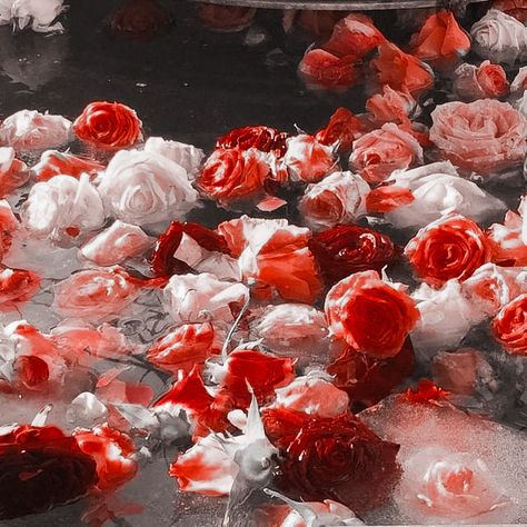 Red And White Flowers Aesthetic, Hualian Aesthetic, Red Fairy Aesthetic, Red Asthetics Photos, Red And Beige Aesthetic, Light Red Aesthetic, Arabian Nights Theme, Rosé Aesthetic, Image Background