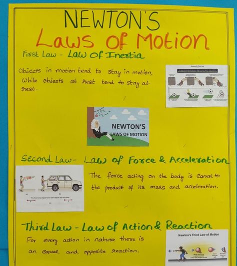 Newton's Laws of Motion Newton's 2nd Law Of Motion Activities, Newton's First Law Of Motion, Newtons Third Law Of Motion, Newton's Laws Of Motion, Newton's Third Law, Motion Activities, Newton's Laws, Newtons Laws Of Motion, Laws Of Motion