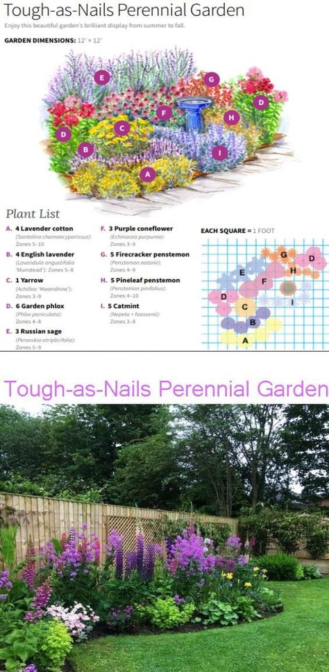 Perennial Garden Plan, Backyard Corner, Future Landscape, Virginia Landscape, Flower Garden Layouts, Planning Garden, Perennial Garden Plans, Live Flowers, Flower Garden Plans