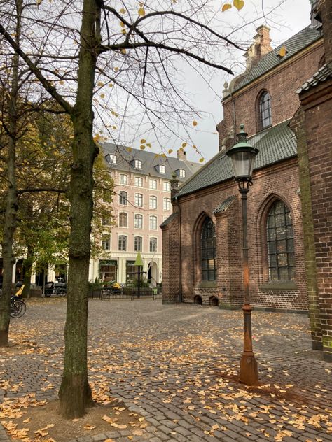 Copenhagen Fall Aesthetic, Denmark Autumn, Copenhagen Autumn, Copenhagen Vibes, Fallfashion Aesthetic, Denmark Aesthetic, Hygge Fall, Copenhagen Aesthetic, Denmark Street