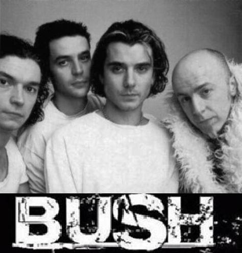 Bush. Sixteen Stone is one of my all-time favorite albums! Bush Band, Gavin Rossdale, 90s Music, I'm With The Band, New Rock, Types Of Music, Alternative Rock, All Music, The Band