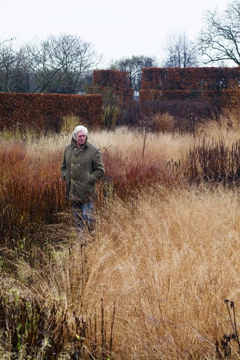 English Flower Garden, Small Flower Gardens, Naturalistic Garden, Dutch Gardens, Piet Oudolf, Contemporary Garden Design, Prairie Garden, Meadow Garden, Grasses Garden