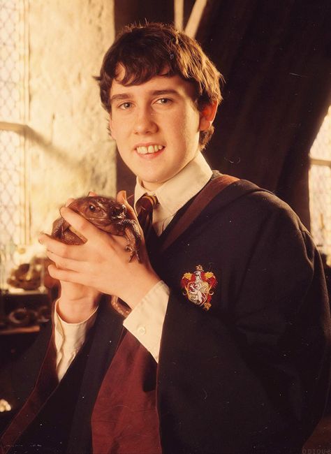 Trevor, Neville's toad Harry Potter Wall, Matthew Lewis, Buku Harry Potter, Neville Longbottom, The Prisoner Of Azkaban, Images Harry Potter, Arte Van Gogh, Harry Potter Actors, Prisoner Of Azkaban