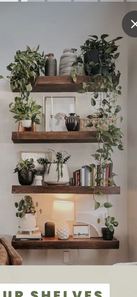 Minimalist Decor With Plants, Living Room Designs Quirky, Dinning Room Wall Shelf Decor, Shelf Organization Ideas Living Room, Kitchen Plant Shelf Decorating Ideas, Picture Plant Wall, Greenery Shelf Decor, Boho Shelving Decor, Plants On Bookcase