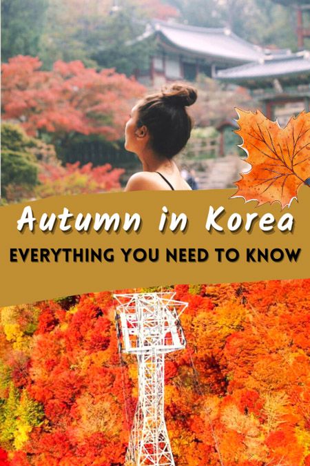 1 Month In South Korea, Best Time To Visit South Korea, Seoul In October, What To Wear In Korea Autumn, Korea In October, Korea Fall Fashion, Korea Autumn Fashion, South Korea Fall, Nami Island Autumn