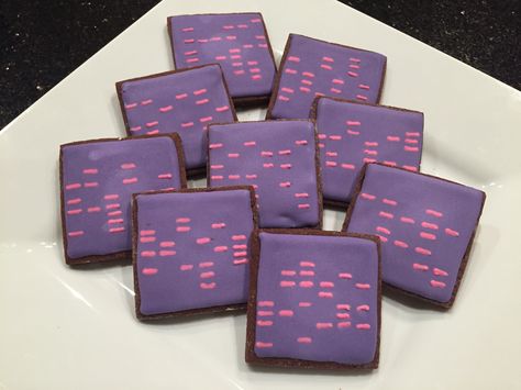 DNA decorated sugar cookies. Royal icing. Purple, pink. Gel electrophoresis. Square. Chocolate. Biology Themed Cookies, Lab Tech Graduation Party, Biology Themed Party, Biology Cake Ideas, Biology Cookies, Science Desserts, Science Cookies, Gel Electrophoresis, Sugar Cookies Royal Icing