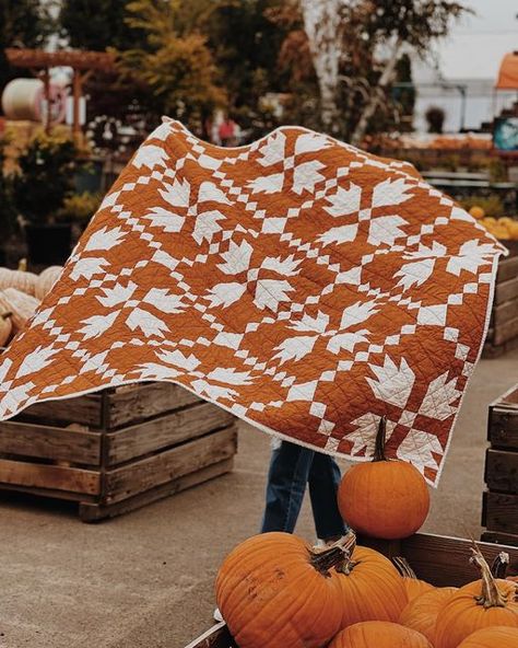 Jennifer Jones on Instagram: "I couldn’t release Archie without giving you a two-color option. 🤩 @jessirash made this stunning version using Art Gallery Gingerbread and Handstitched Linen and it’s the prettiest autumnal quilt! This is my typical fall decor—-quilts and accents that lean a bit earthier and moodier. But I could see a 2 color Archie in lots of combos! Red and white?? Black and white?! I’ll add the fabric requirements to my stories today. #archiequilt releases this Friday!! #penelo Autumnal Quilt, Fall Quilts Autumn, Easy Crochet Baby Blanket Free Pattern, Autumn Quilts, Autumn Quilt, Fall Quilt Patterns, Bear Paw Quilt, Fall Quilt, Orange Quilt