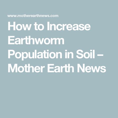 How to Increase Earthworm Population in Soil – Mother Earth News Backyard Beekeeping, Backyard Poultry, Gardening Techniques, Digestion Process, Mother Earth News, Soil Layers, Earthworms, When It Rains, Garden Soil