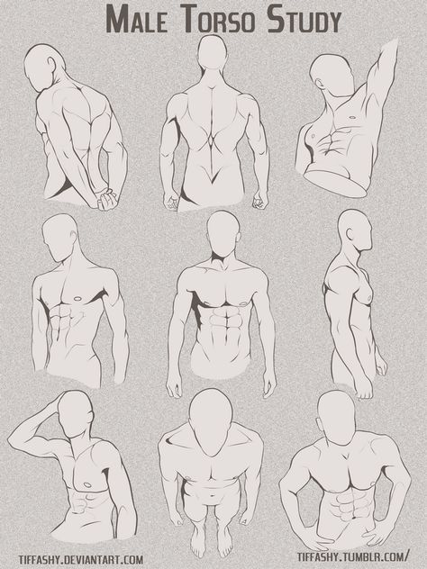 Male Torso/Chest Study by TIFFASHY on DeviantArt Male Chest Reference, Chest Reference, Torso Study, Male Chest, Anatomy Tutorial, Reference Art, Body Sketches, Male Torso, Human Drawing