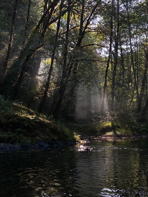 Forest Stream Aesthetic, Corvallis Oregon Aesthetic, Dark Oregon Aesthetic, Bridget Core, Janecore Aesthetic, Danielle Core, Forest With River, River In The Forest, Noah Kahan Stick Season