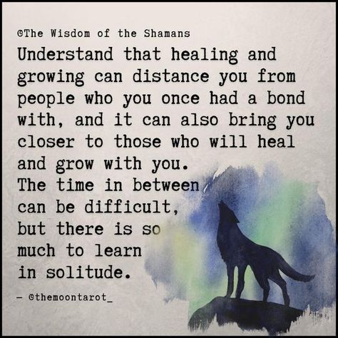 Medicine Woman Quotes, Shaman Quotes, Shaman Aesthetic, Shaman Woman, Don Jose, Quote Pictures, Native American Wisdom, Native American Heritage Month, Shamanic Journey