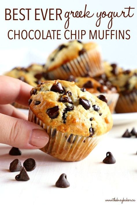 These Best Ever Greek Yogurt Chocolate Chip Muffins are the perfect low-fat sweet snack made with Greek yogurt! They're quick and easy to make, and they're perfectly moist and tender! Recipe from thebusybaker.ca! #muffins #easy #recipe #chocolatechip #chocolate #homemade #bestever #bestmuffins #sweet #treat #dessert #breakfast #lowfat Greek Yogurt Chocolate, Yogurt Chocolate, Muffins Blueberry, Greek Yogurt Muffins, Chocolate Chip Muffin, Yogurt Muffins, Pastas Recipes, Lunchbox Treats, Overnight Oat