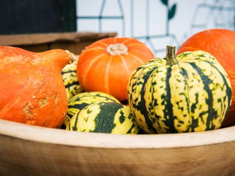 Hardening Off Squash – How To Store Squash Over The Winter Turkey Party, Halloween Party Games, How To Store, Winter Squash, The Fruit, The Winter, Thanksgiving, Fruit