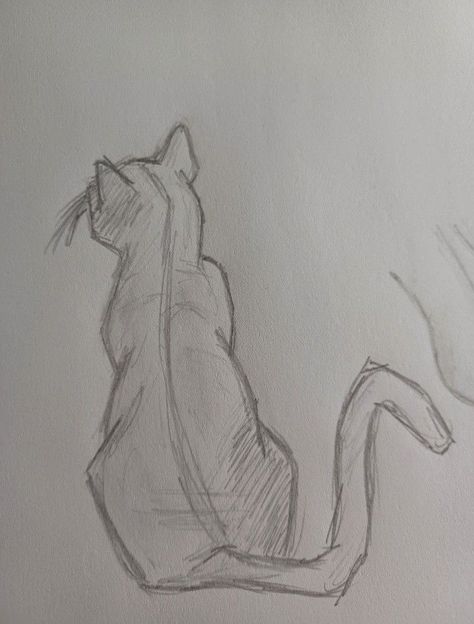 Cat Drawing Digital Art, Back Of Cat Drawing, Cat Lying On Back Drawing, Sand Cat Drawing, Cat Stalking Drawing, Cute Cat Sketch Easy, Girl Holding Cat Drawing, Long Cat Drawing, Fast Drawing Ideas